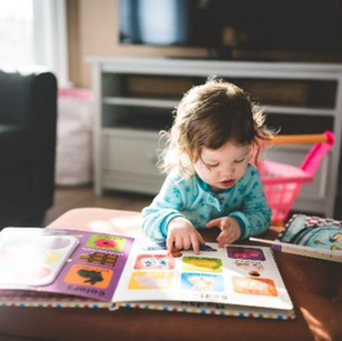 El A,B,C de la lectura por placer, formando lectores.