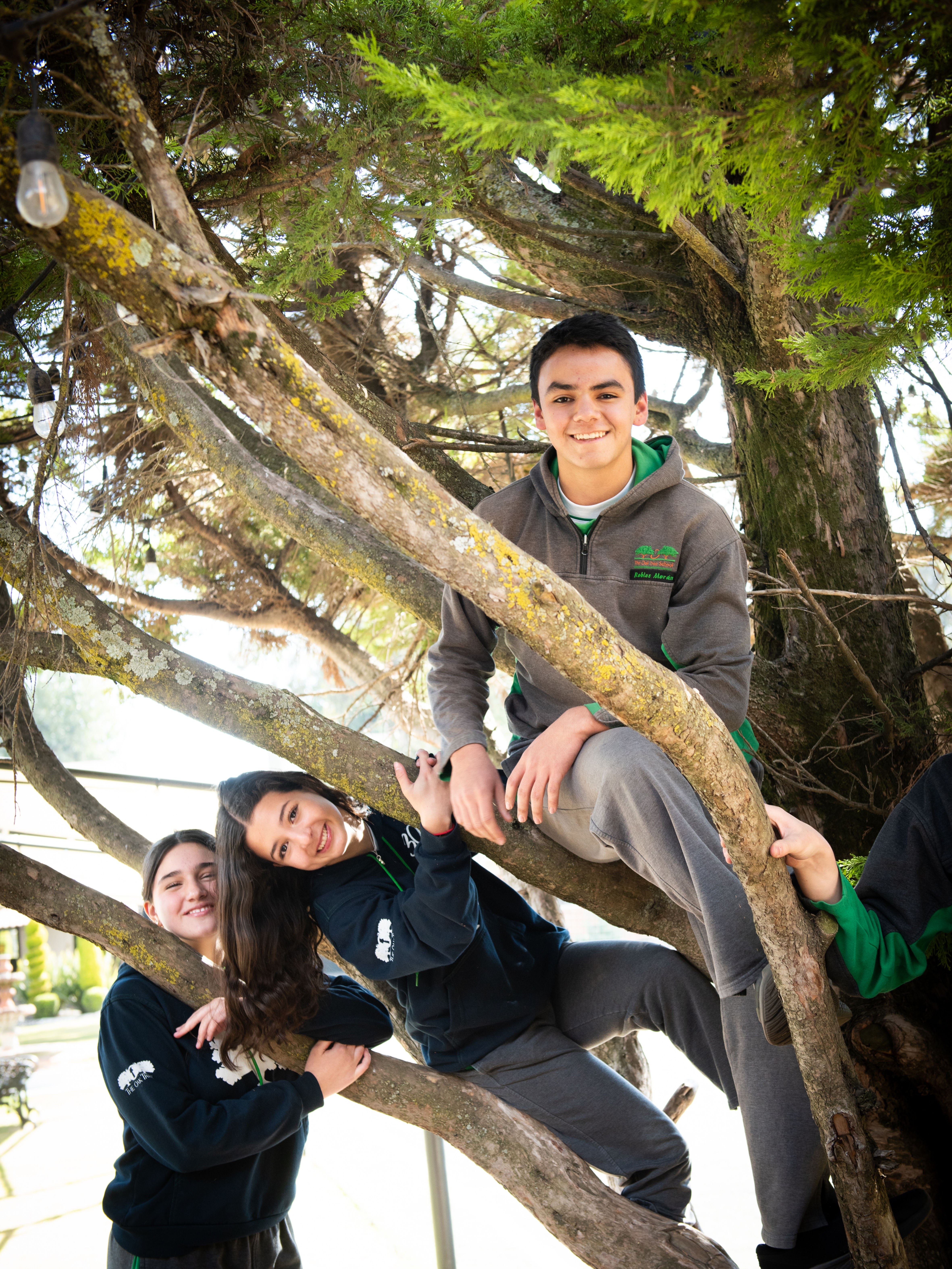 Secundaria 8